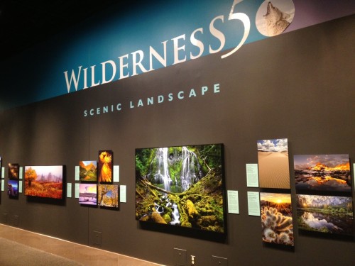 Wilderness Forever Exhibition