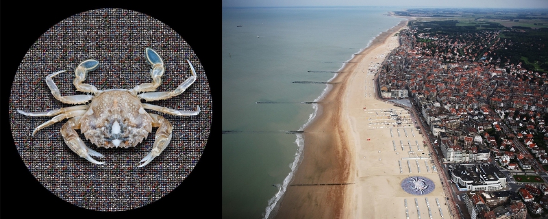 Project TIME: a 3000 m2 picture to tell a global story by Wim Tellier. On the beach at Knokke-Heist Belgium, Wim Tellier integrated a 3,000 m² circular image. It is a picture with double imaging, with its main subject a vulnerable crab magnified at least 1,000 times its original size. The background consists of fish-eye photos of unique landscapes for which Wim Tellier travelled the globe. These images are designed to give spectators an open view of the world. The graphic and logistical aspect of the project is pioneering and revolutionary. The photo file exceeds 400 gigabytes! The 3000m2 photo weighs 1,800 kg. www.wimtellier.be (PRNewsFoto/Wim Tellier)