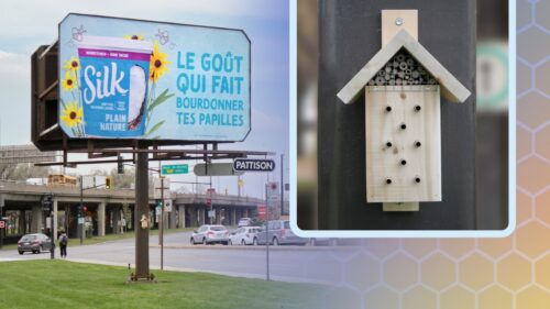 On May 20, World Bee Day, food brand Silk and Pattison Outdoor Advertising announced the launch of a pilot project in partnership with a research team from Université de Montréal.