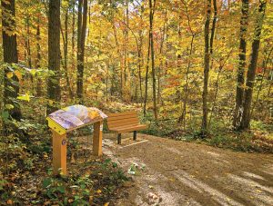 The first of its kind in its area, the Mossy Rock Trail was designed to accommodate wheelchairs, strollers, cycling, walking, and snowshoeing, for a safe, welcoming experience for all visitors. Photos courtesy Laird Signs