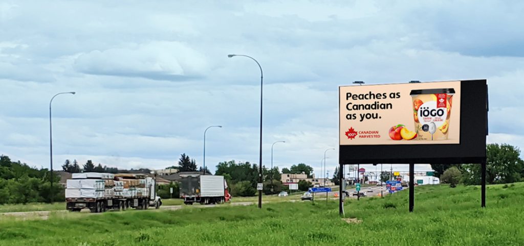 A billboard at the side of a road, with an ad displayed on it. 